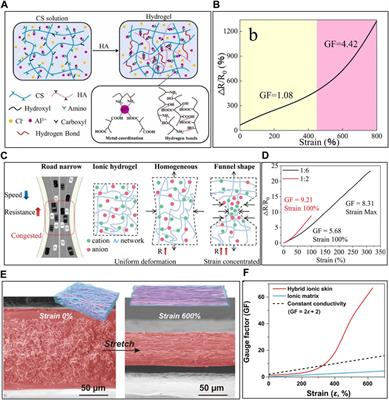 Frontiers Recent Advances In Wearable Iontronic Sensors For